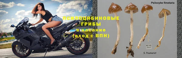дурь Мегион