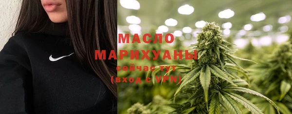 сатива Липки