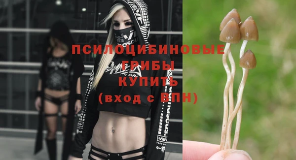 дурь Мегион