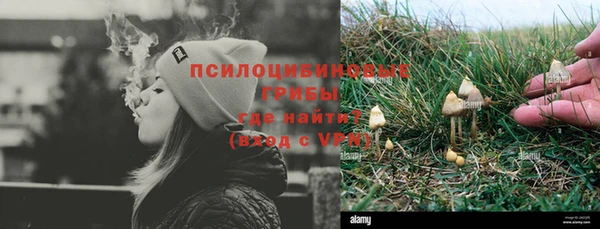 трава Майский